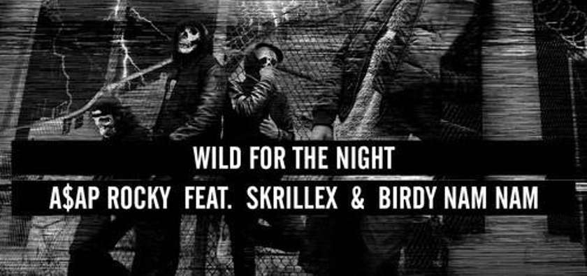A$AP Rocky ft. Skrillex & Birdy Nam Nam - "Wild For The Night" 